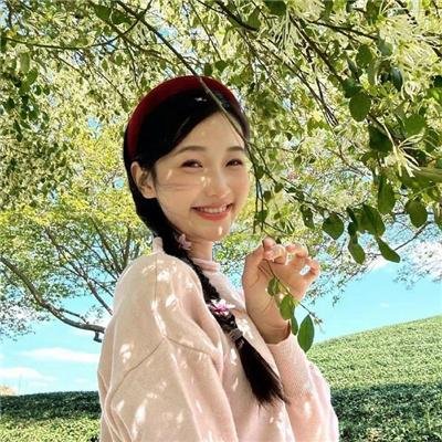 风流种子